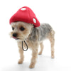 DOGO Mushroom Hat