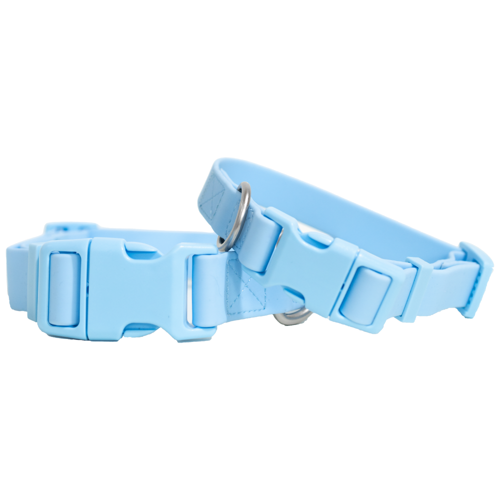 Springer Waterproof  Dog Collar | Sky Blue