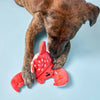 The Furryfolks Crab Nosework Toy