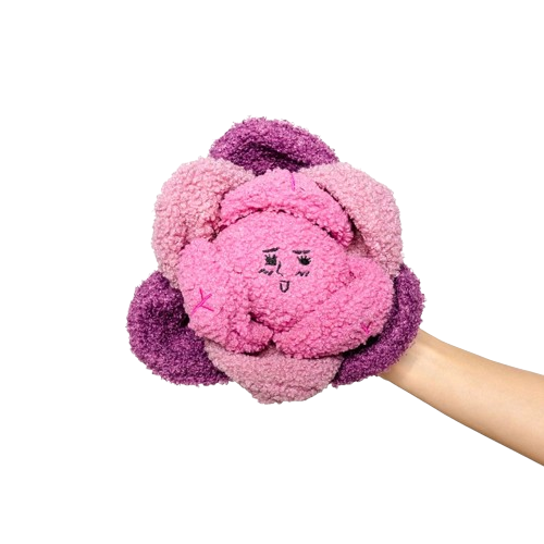 The Furryfolks Red Cabbage Nose Work Toy