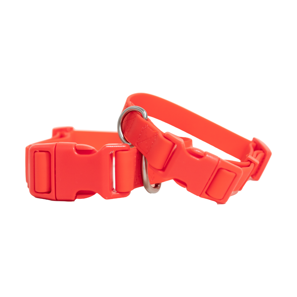 Springer Waterproof  Dog Collar | Poppy