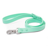 Lucy &amp;amp; Co. Everyday PVC Mint Leash