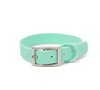 Lucy &amp;amp; Co. Everyday PVC Mint Collar