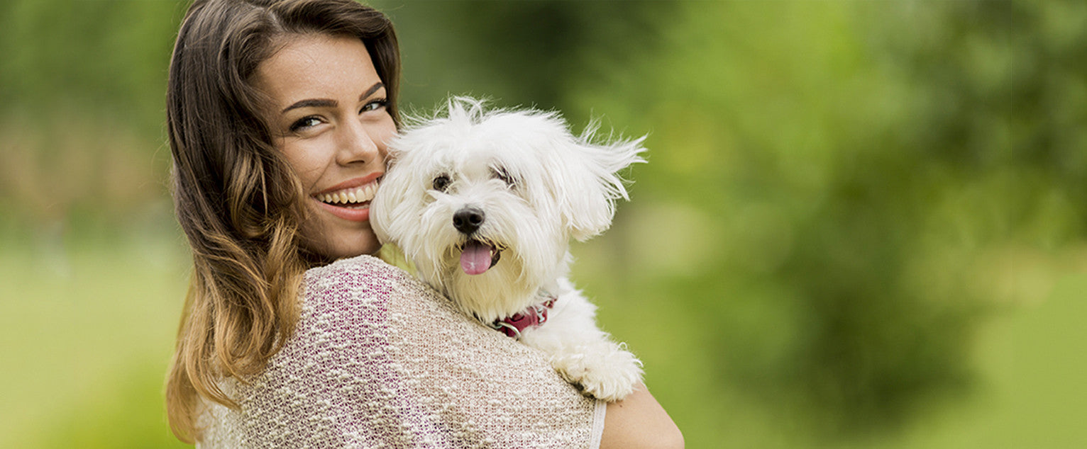 Adopting A Dog From A Shelter