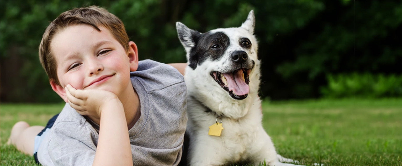 Which Dogs Are Good For Kids?