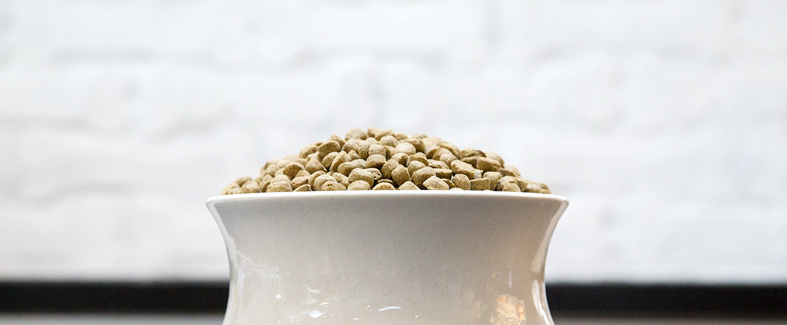 Dry Food 101