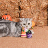 HugSmart Pet - Spooky Cats | Witches Brew