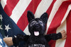 Hugglehounds Project K-9 Hero, Mattis Knottie®, Plush Dog Toy