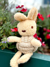 Eco-Friendly Dog Hemp Plush Rope Toy| Rabbit