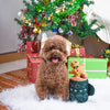 HugSmart Pet - Happy Woofmas | Gingerbread Latte