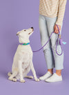 Foggy Dog Violet Marine Rope Leash