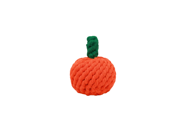 Carrot Crochet Dog Toy by Dogo