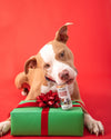 Holiday Mini Tube: Stocking Stuffer - Dog Treats