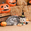 HugSmart Pet - Spooky Cats | Candy Basket