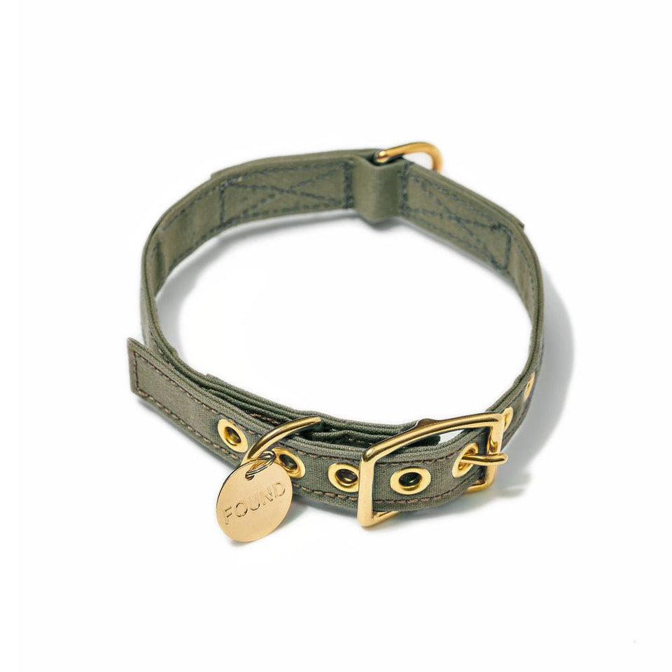 Found My Animal Olive Cotton Canvas Cat & Dog Collar