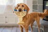 P.L.A.Y. Paw-Nukkah Menorah