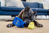 P.L.A.Y. Paw-Nukkah Gelt-Y Treats Dog Toy