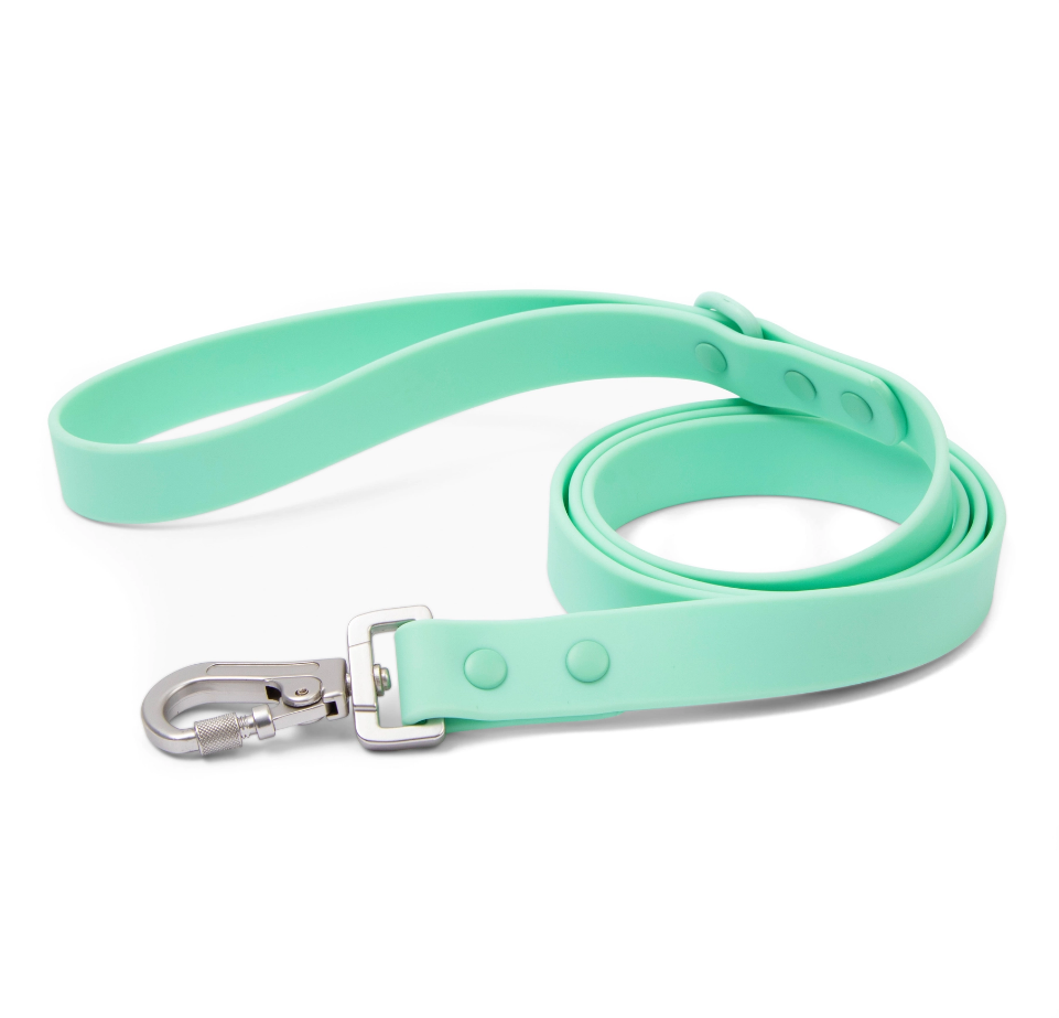 Lucy &amp; Co. Everyday PVC Mint Leash