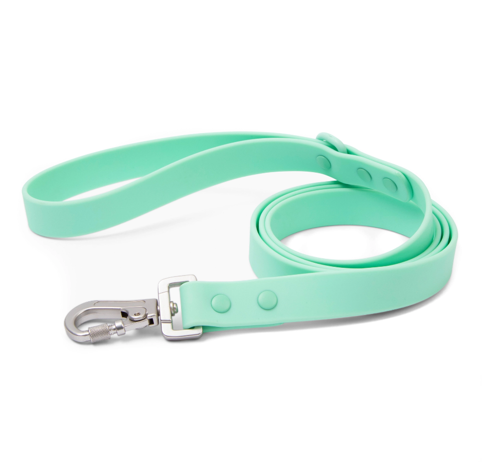 Lucy & Co. The Mint Everyday PVC Collar, Small, Green