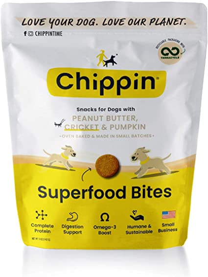 Chippin Superfood PB &amp; Pumpkin 5 oz