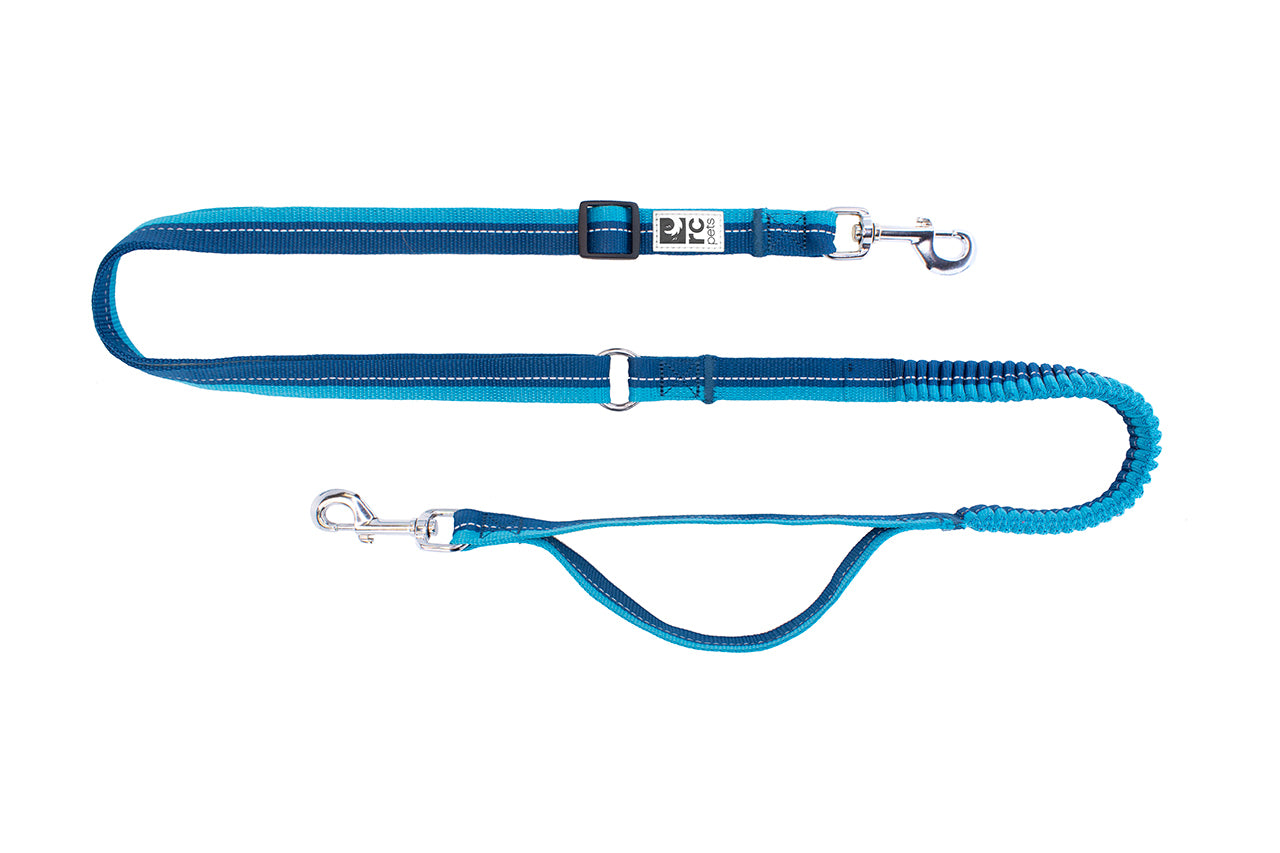 RC Pets Teal Bungee Active Leash