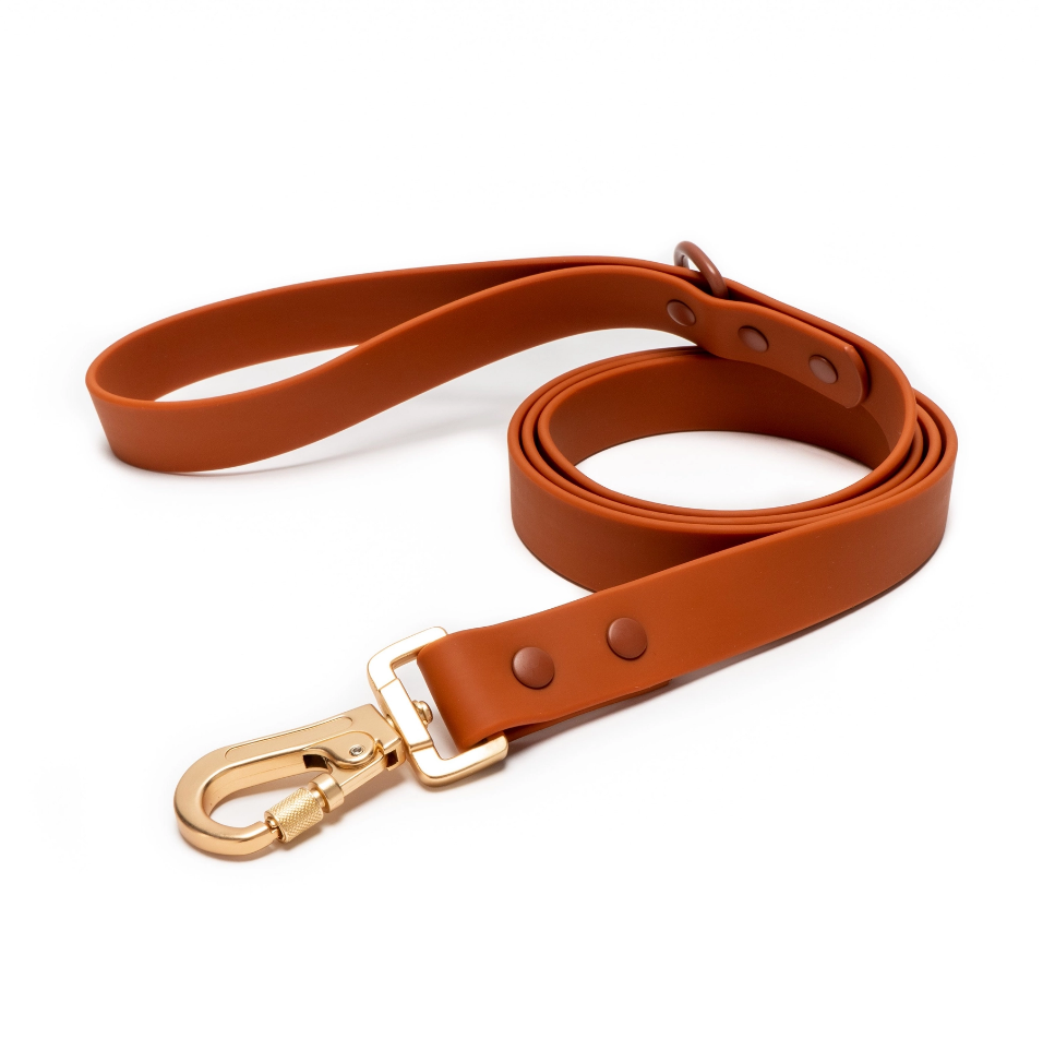 Lucy &amp; Co. Terracotta Everyday PVC Leash