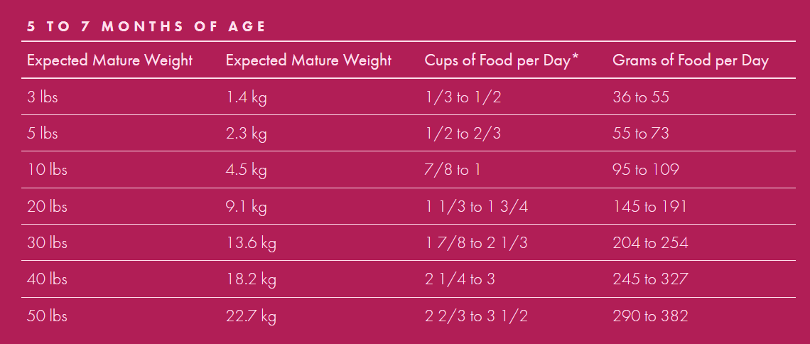 Fromm large sale breed food