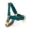 Eat Play Wag Spruce-Gray No-Pull Harness
