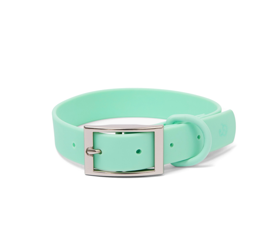 Lucy &amp; Co. Everyday PVC Mint Collar