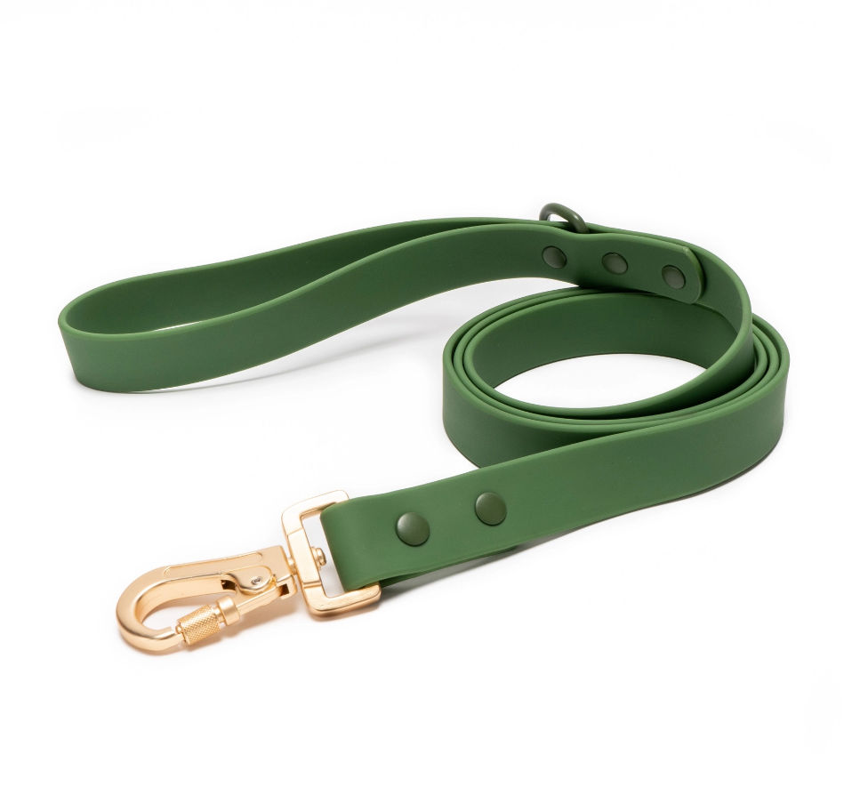 Lucy &amp; Co. Pine Everyday PVC Leash