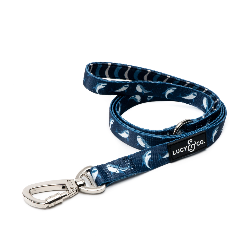 Lucy &amp; Co. Shark Attack Leash