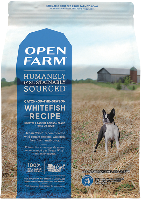 Green dog cheap grain free