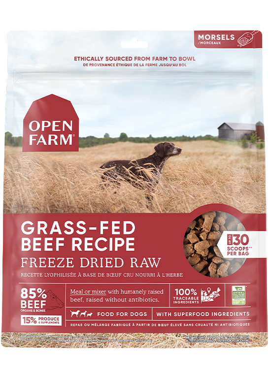 Open Farm Freeze Dried Beef 13.5 oz