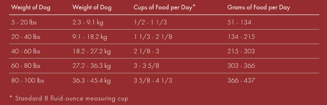 Fromm Four Star Grain Free Beef Frittata Dog Food Wooftown