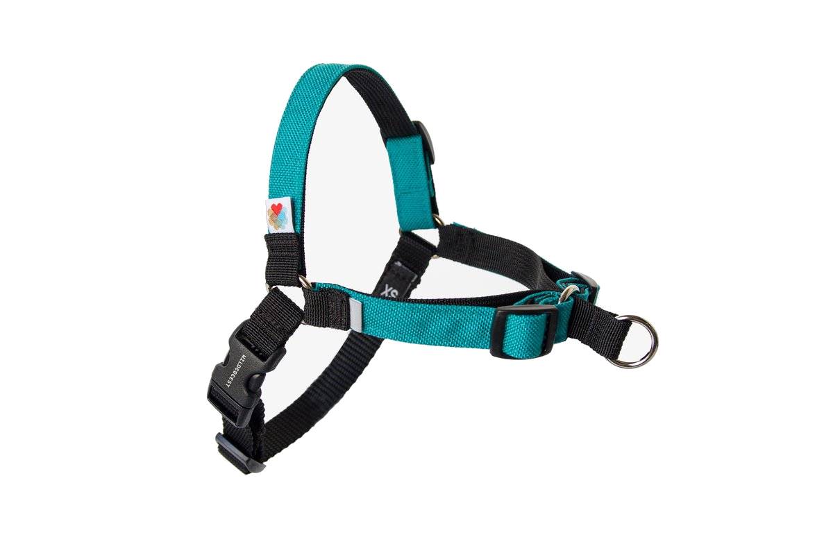 Wildebeest Linden No Pull Harness Turquoise