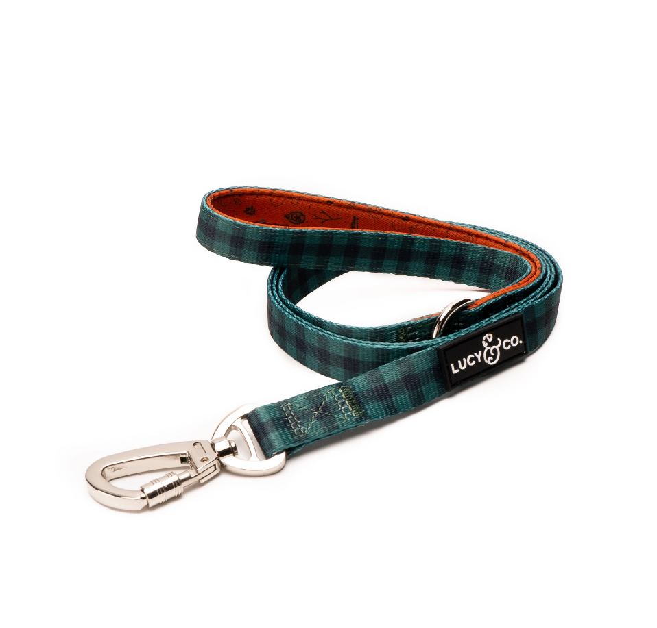 Lucy & Co. lucy & co. designer dog leash - pet accessories - thick dog  leash - padded handle for comfort - purple with green floral - 5