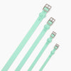 Lucy &amp;amp; Co. Everyday PVC Mint Collar